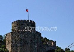 01 (19)