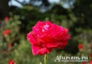 Достопримечательности Ашхабада