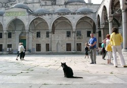 dostoprimechatelnosti-stambula-foto-96