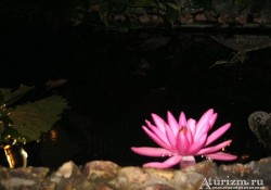 vietnam-foto-05