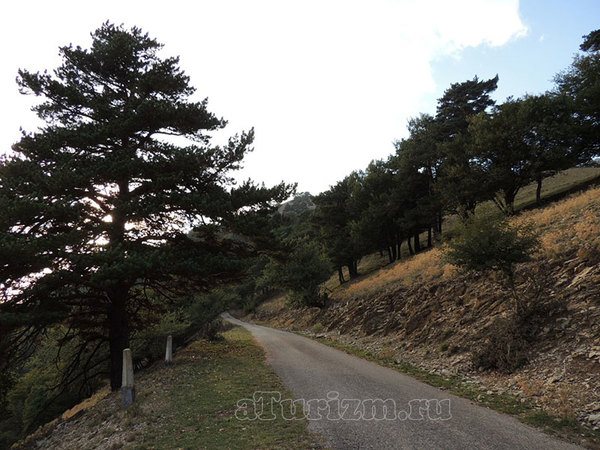 dostoprimechatelnosti-alushty-foto-11