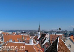 dostoprimechatelnosti-tallina (2)