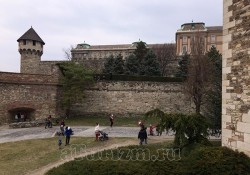 photo518523