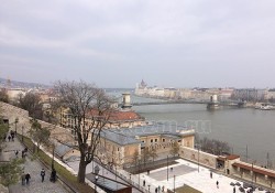 photo518532