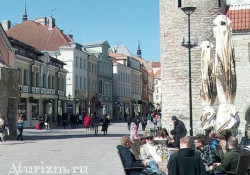 tallin-foto (1)