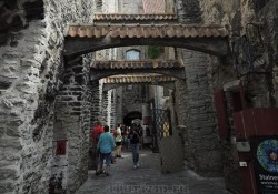 tallin-foto (4)