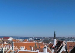 tallin-foto (5)